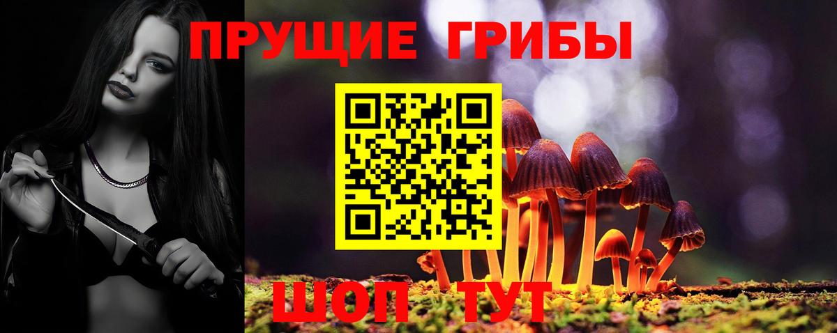 Псилоцибиновые грибы Cubensis  Вход с VPN  наркотики  Менделеевск  Псилоцибиновые грибы мухоморы 
